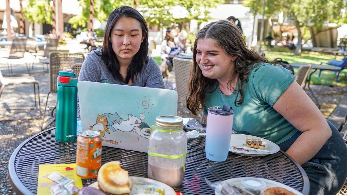 Two people looking at a laptop during lunch outside